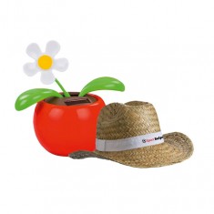 Sommer